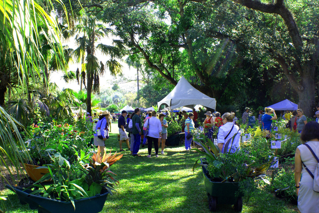 Plant Sale at Fairchild Tropical Garden